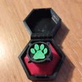 Nhẫn và hộp Cat Noir (Miraculous Ladybug) – đường kính 18 mm - Thumbnail 6