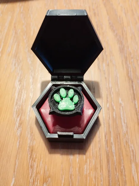 Nhẫn và hộp Cat Noir (Miraculous Ladybug) – đường kính 18 mm - Image 7