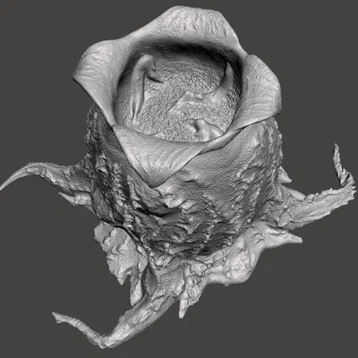 Trứng Alien FaceHugger (Alien FaceHugger Egg)
