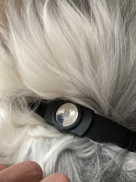 Vòng cổ chó gắn AirTag (AirTag Dog Collar) - Image 7