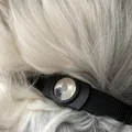 Vòng cổ chó gắn AirTag (AirTag Dog Collar) - Thumbnail 7