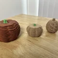 Bí Ngô Halloween Không Phải Slinky - Print in Place! - Thumbnail 5