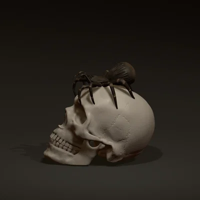 Mô hình in 3D Đầu lâu với Nhện (Skull with spider) trang trí Halloween