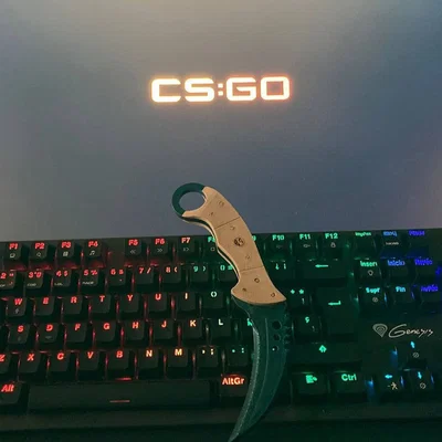 Talon Blue Gem CSGO