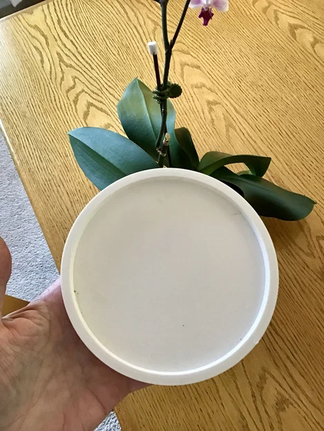 Đế lót chậu cây 3D tối giản - Dễ in, tùy chỉnh kích thước - Image 1