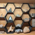 Kệ trưng bày lục giác tuỳ chỉnh (Hexagon display shelves Customisable) - Thumbnail 1