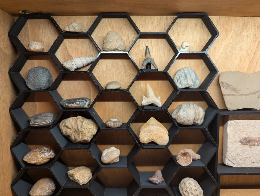 Kệ trưng bày lục giác tuỳ chỉnh (Hexagon display shelves Customisable) - Image 3