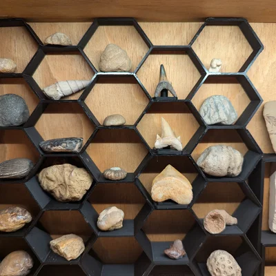 Kệ trưng bày lục giác tuỳ chỉnh (Hexagon display shelves Customisable)