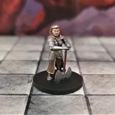 Bộ Sưu Tập Paladin 3 (Paladin Collection 3)