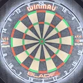 Bộ vòng số in 3D thay thế cho bảng phóng phi tiêu (Dart Board) - Thumbnail 4