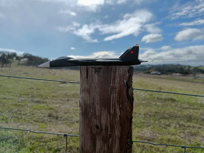 Máy bay Su-47 Berkut one-piece nhiều màu - Image 3