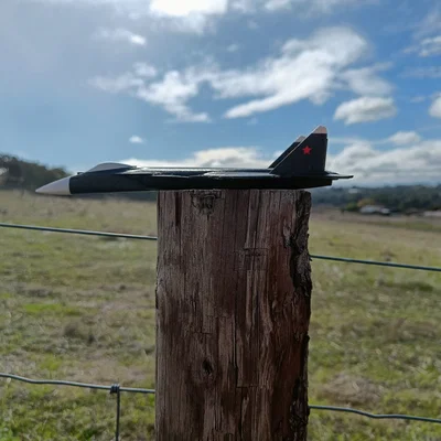 Máy bay Su-47 Berkut one-piece nhiều màu