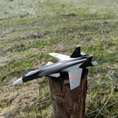 Máy bay Su-47 Berkut one-piece nhiều màu