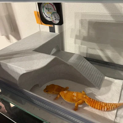 Nhà Leopard Gecko 3 tầng (vừa lồng GEX EXOTERRA 400Slim)