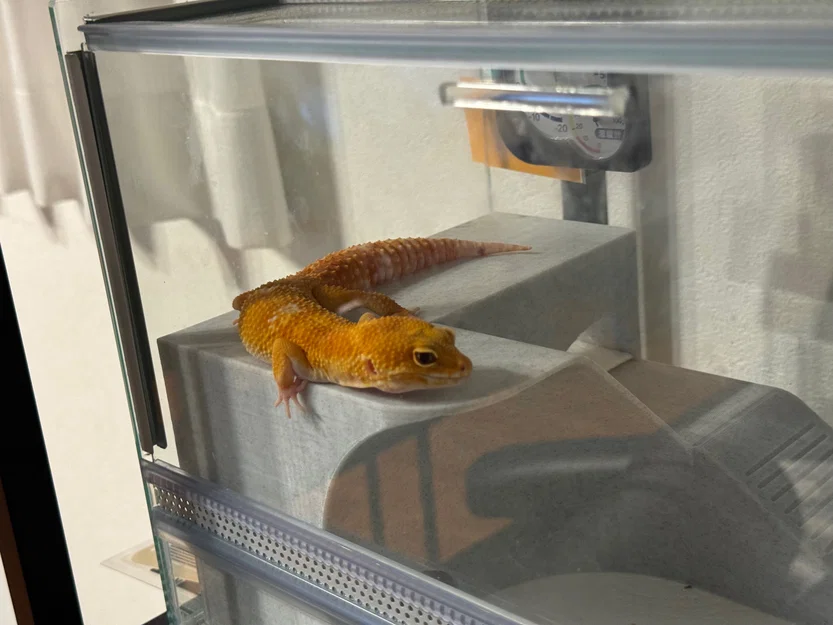 Nhà Leopard Gecko 3 tầng (vừa lồng GEX EXOTERRA 400Slim) - Image 5