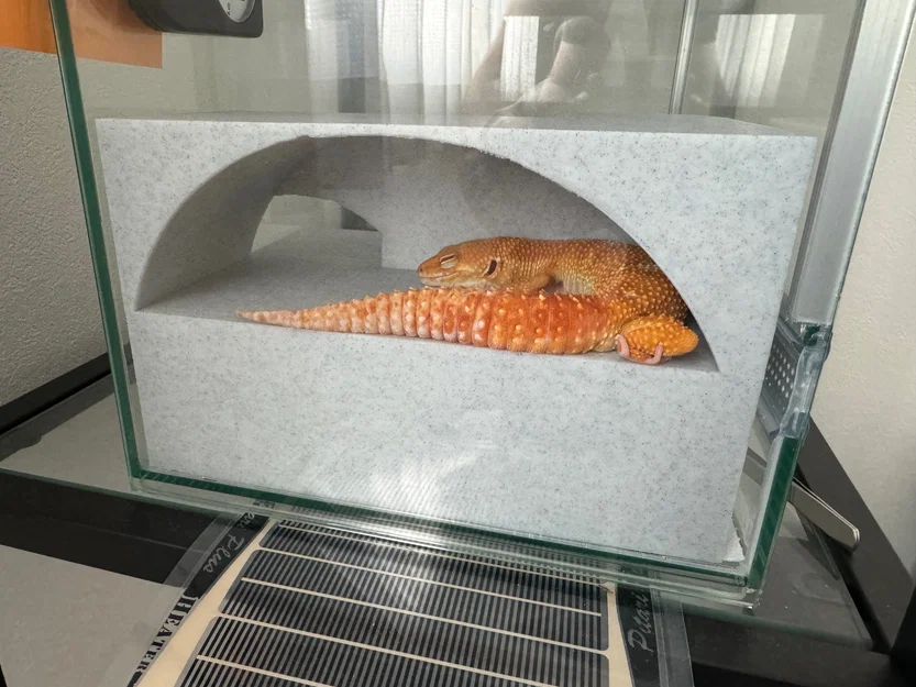 Nhà Leopard Gecko 3 tầng (vừa lồng GEX EXOTERRA 400Slim) - Image 8