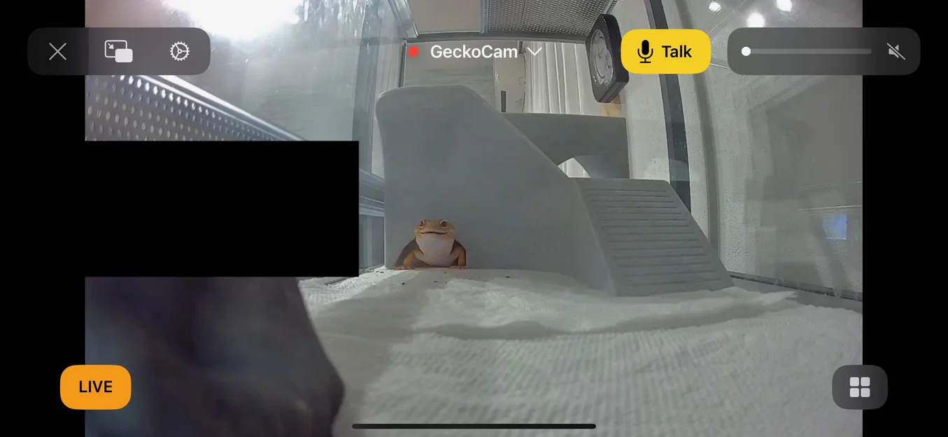 Nhà Leopard Gecko 3 tầng (vừa lồng GEX EXOTERRA 400Slim) - Image 13