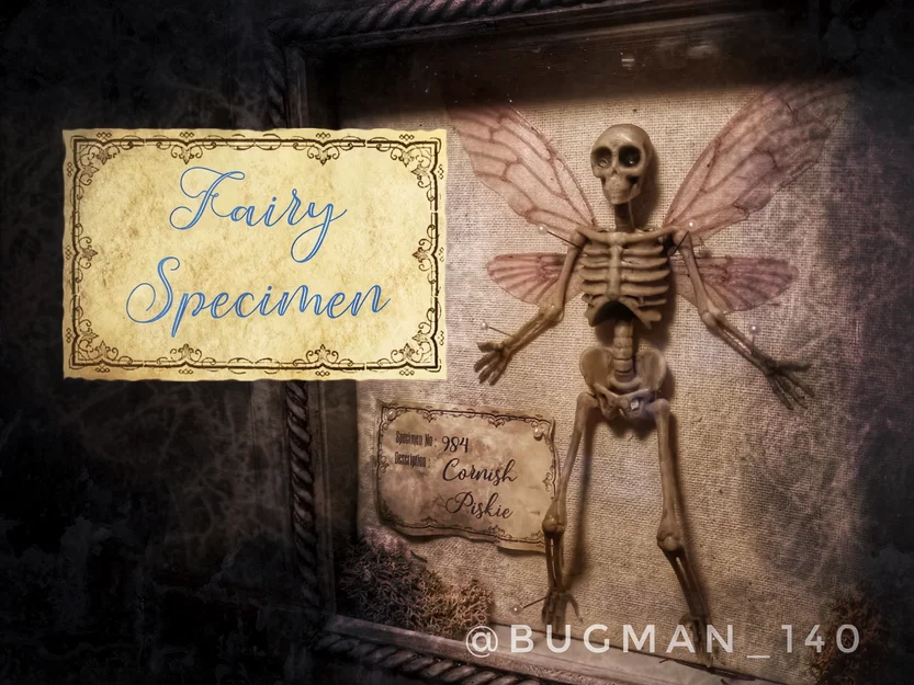 Fairy Specimen – Mẫu bộ xương tiên cho trang trí Halloween - Image 1