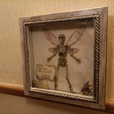 Fairy Specimen – Mẫu bộ xương tiên cho trang trí Halloween