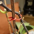 PflanzenClip / Plant Clip - Kẹp cố định cây con vào que - Thumbnail 2