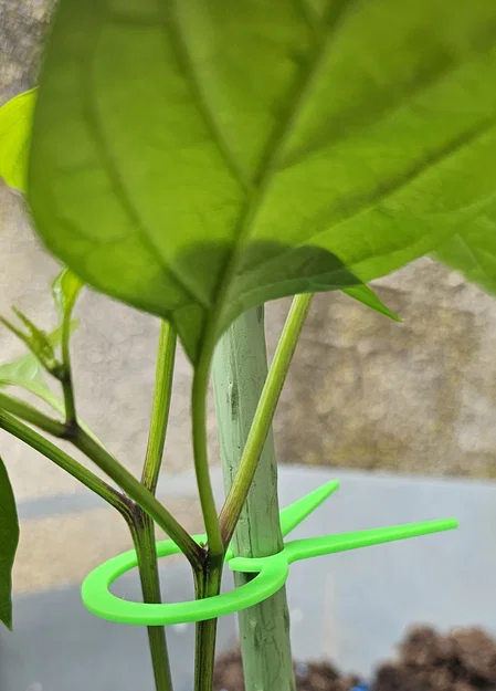 PflanzenClip / Plant Clip - Kẹp cố định cây con vào que - Image 7