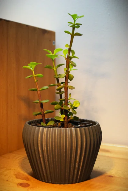 Chậu trồng cây 3D hiện đại thiết kế tinh tế cho bàn làm việc - Image 1