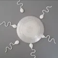 Mô hình 3D minh họa quá trình thụ tinh: Trứng và Tinh trùng - Thumbnail 4