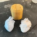 Khuôn Trái Tim Giải Phẫu (Anatomical Heart Mold) - Thumbnail 1