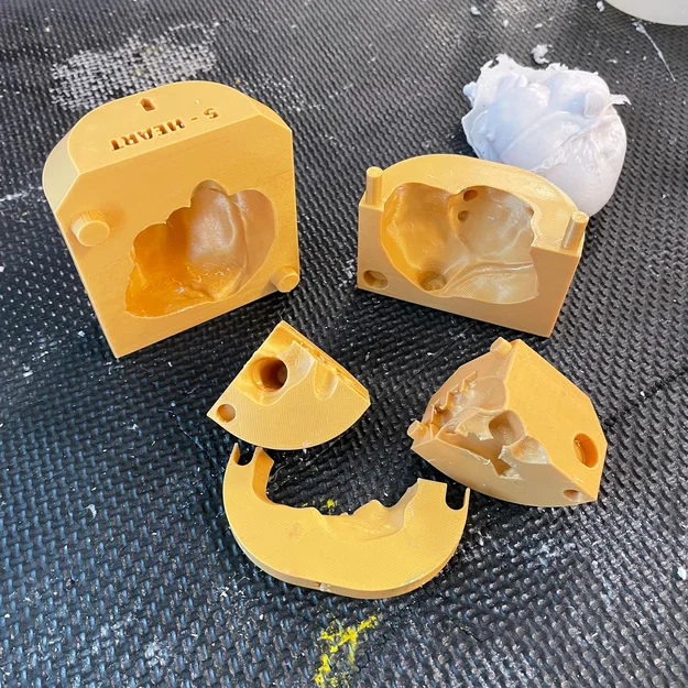Khuôn Trái Tim Giải Phẫu (Anatomical Heart Mold) - Image 3