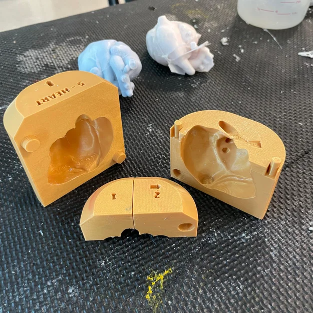 Khuôn Trái Tim Giải Phẫu (Anatomical Heart Mold) - Image 4