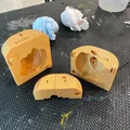 Khuôn Trái Tim Giải Phẫu (Anatomical Heart Mold) - Thumbnail 4