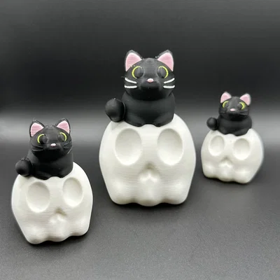Mèo Đen Ngồi Trên Đầu Lâu (Black Cat on Skull)