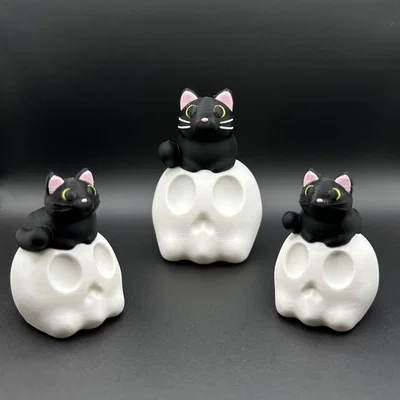 Mèo Đen Ngồi Trên Đầu Lâu (Black Cat on Skull)
