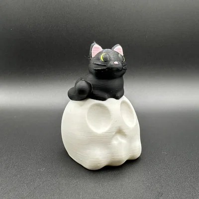 Mèo Đen Ngồi Trên Đầu Lâu (Black Cat on Skull)