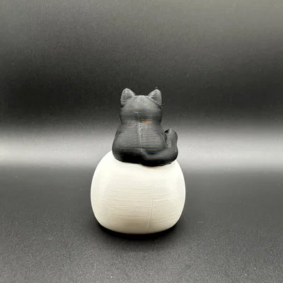 Mèo Đen Ngồi Trên Đầu Lâu (Black Cat on Skull)