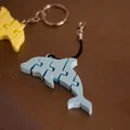 Móc khóa cá heo in 3D cử động linh hoạt (Flexi Dolphin Keychain) - Thumbnail 1