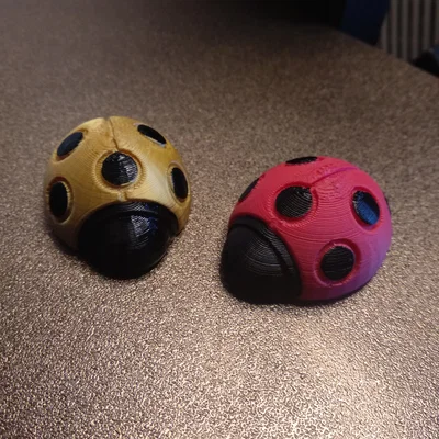 Nam châm tủ lạnh bọ rùa (Ladybird/Ladybug Fridge Magnet)