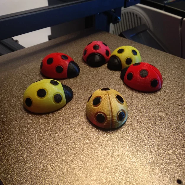 Nam châm tủ lạnh bọ rùa (Ladybird/Ladybug Fridge Magnet) - Image 3