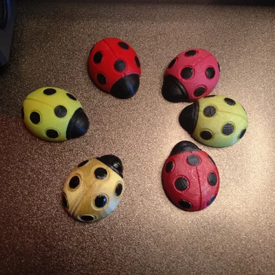 Nam châm tủ lạnh bọ rùa (Ladybird/Ladybug Fridge Magnet)