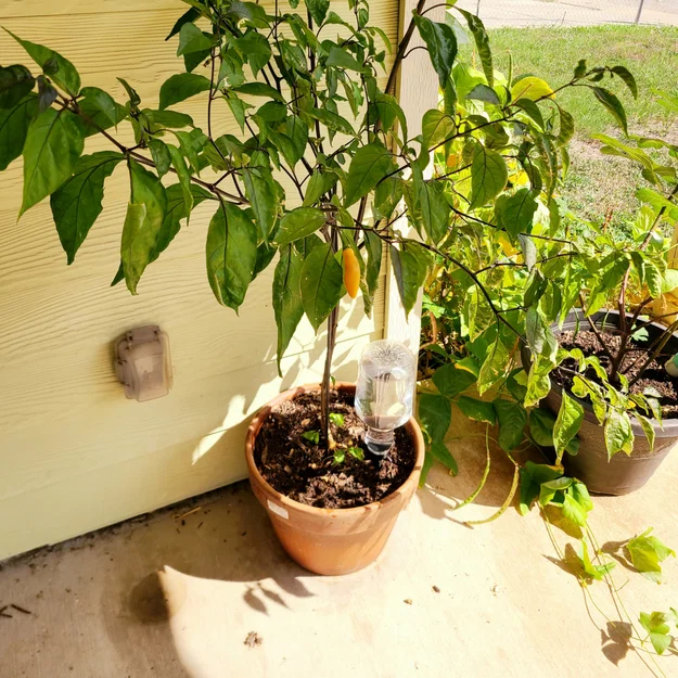 Nắp Watering Spike Cap – Tưới chậm ngầm cho cây - Image 8