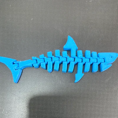 Cá mập khớp nối (Articulated shark / Tiburón articulado)