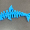 Cá mập khớp nối (Articulated shark / Tiburón articulado) - Thumbnail 2