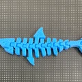 Móc khóa cá mập khớp nối (Articulated Shark Keychain) - Thumbnail 2