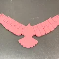 Đại bàng khớp nối (Articulated Eagle / Aguila articulada) - Thumbnail 1