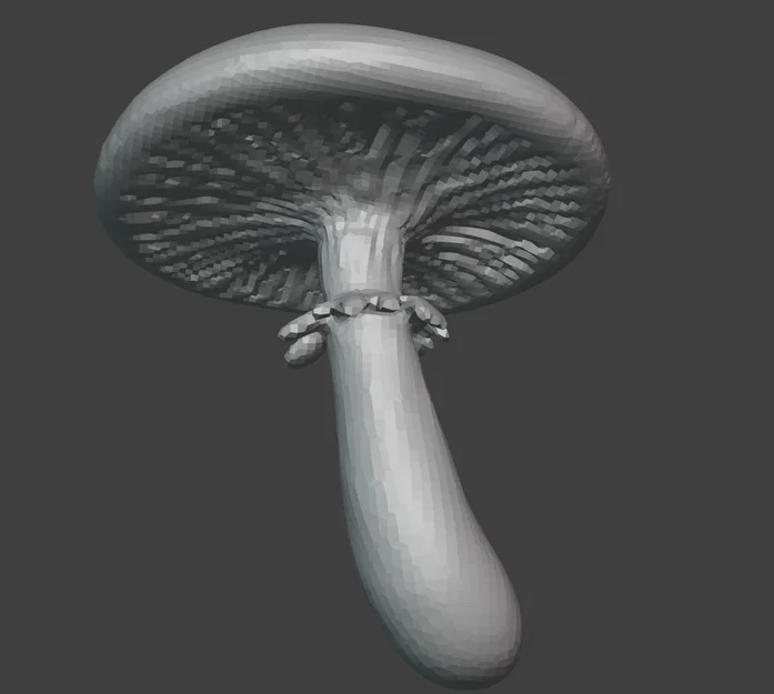 Nấm King Straphoria (King Straphoria Mushroom) - Image 1