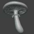 Nấm King Straphoria (King Straphoria Mushroom) - Thumbnail 1