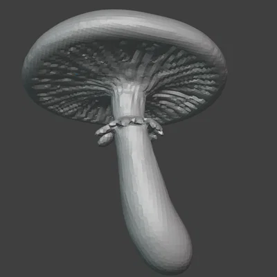 Nấm King Straphoria (King Straphoria Mushroom)