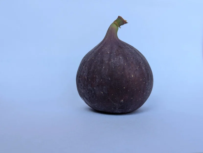 Đế chụp ảnh để bàn, giá đỡ phông nền giấy (A4, A3, A2, mọi kích thước) - Image 7