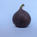 Đế chụp ảnh để bàn, giá đỡ phông nền giấy (A4, A3, A2, mọi kích thước) - Thumbnail 7