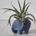 Chậu voi (Elephant Planter) – Chậu cây, bình cắm hoa hoặc ống đựng bút - Thumbnail 7
